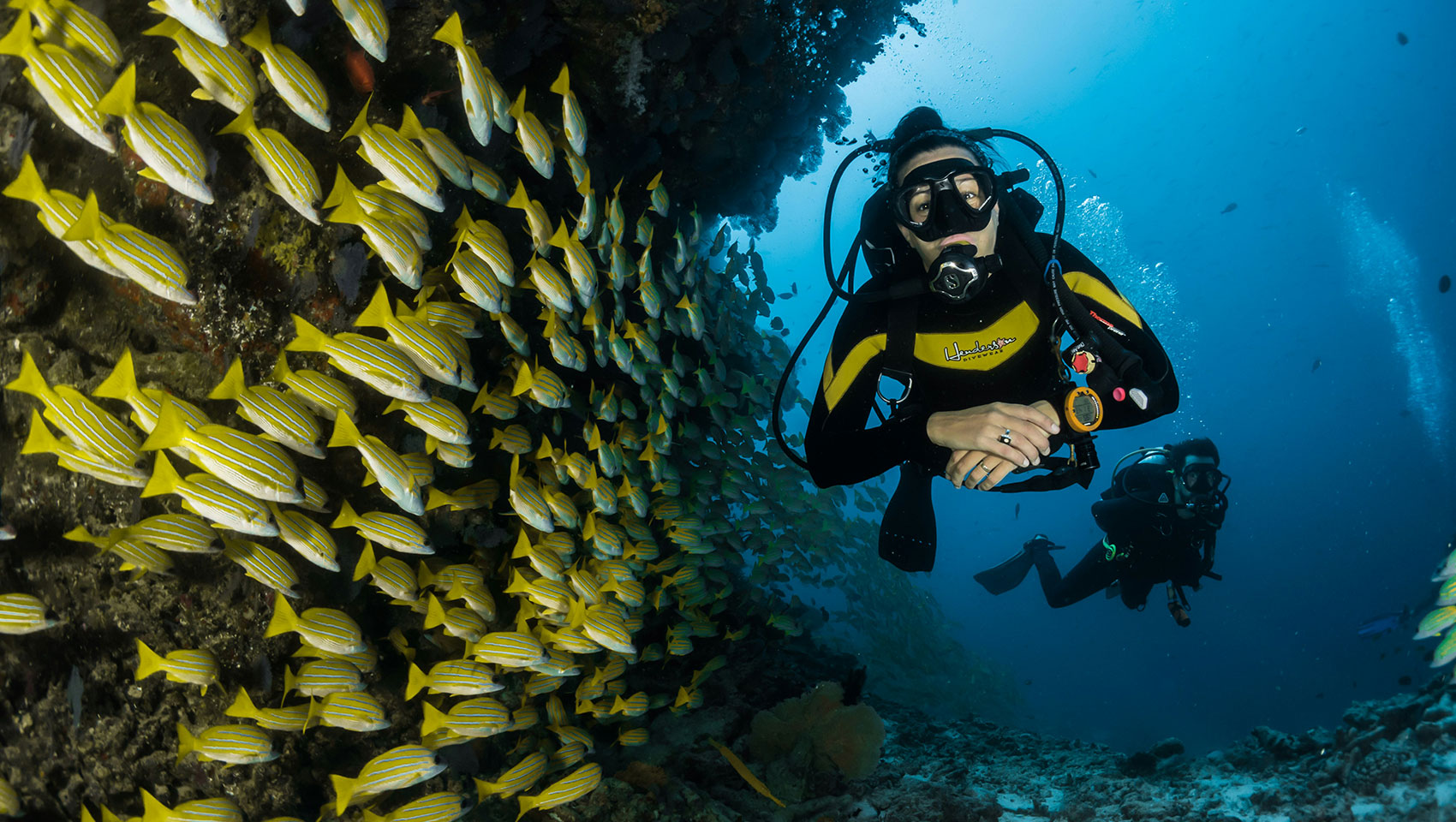 Woman scuba diving by the coral reefs off Roatan