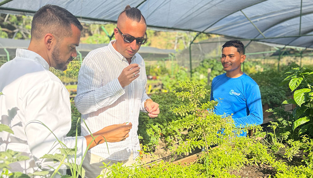 Men in a greenhouse