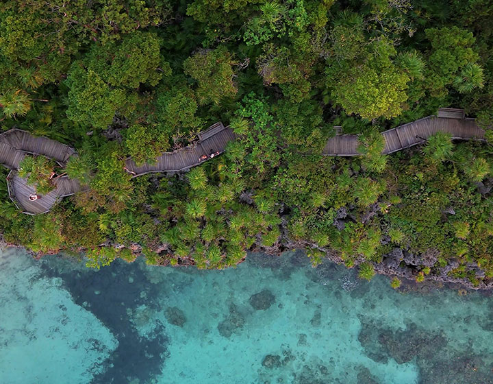 drone shot of roatan