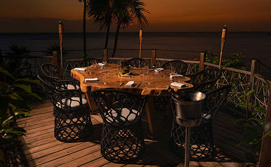 Green Flash Table bat night